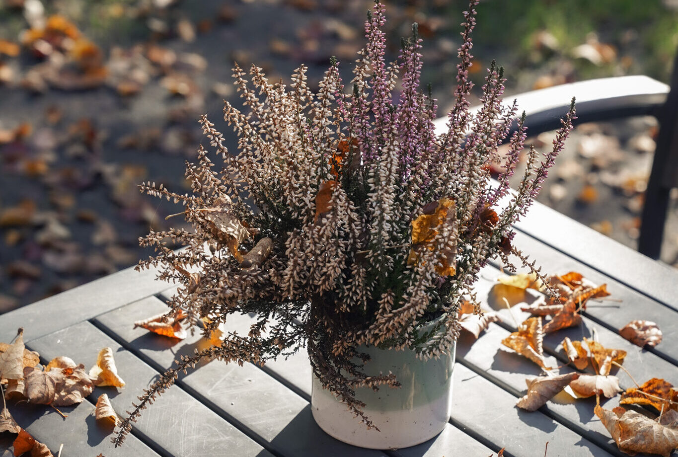 Herbst Yoga Retreat Mareike Yoga